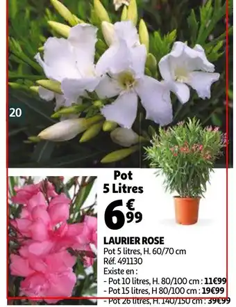 Auchan Laurier Rose offre