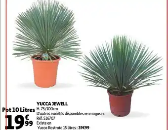 Auchan Yucca jewell offre