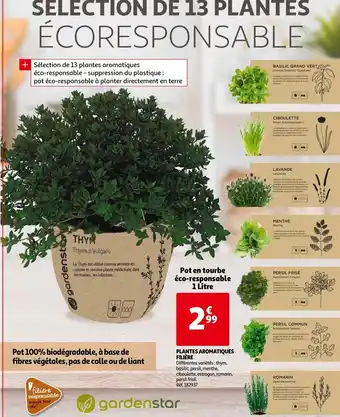 Auchan Plantes Aromatiques filière offre