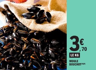 E.Leclerc MOULE BOUCHOT (4)(⁹) offre