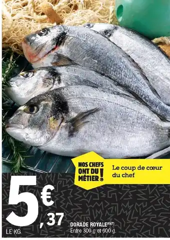 E.Leclerc Dorade Royale offre