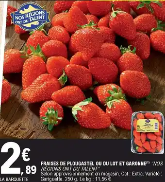 E.Leclerc Fraises De Plougastel Ou Du Lot Et Garonne offre