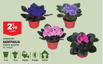 ALDI GARDENLINE® SAINTPAULIA offre