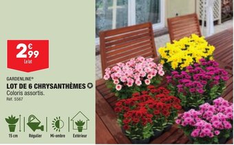 ALDI GARDENLINE® LOT DE 6 CHRYSANTHÈMES offre