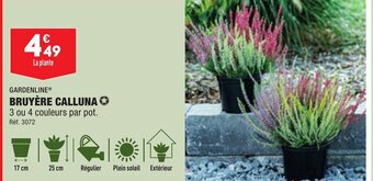 GARDENLINE® BRUYÈRE CALLUNA