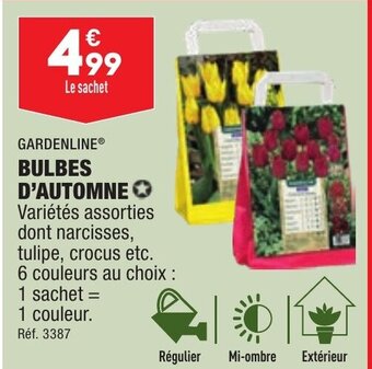 GARDENLINE® BULBES D'AUTOMNE