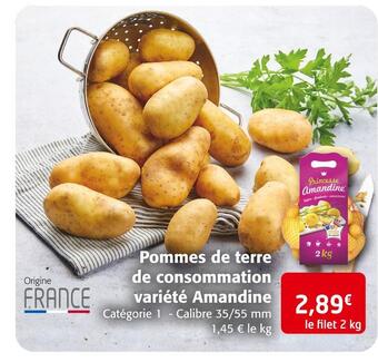 Colruyt Pommes de terre de consommation variété amandine offre