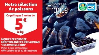 Auchan MOULES DE CORDE DE MÉDITERRANÉE FILIÈRE AUCHAN "CULTIVONS LE BON" offre