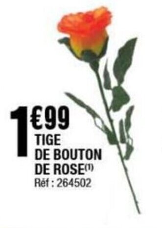TIGE DE BOUTON DE ROSE