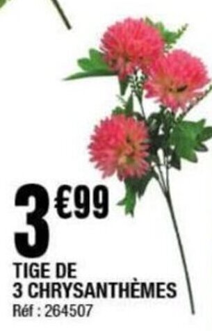 La Foir'Fouille TIGE DE 3 CHRYSANTHÈMES offre