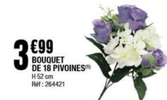 La Foir'Fouille BOUQUET DE 18 PIVOINES(¹) offre