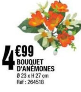 La Foir'Fouille BOUQUET D'ANEMONES offre