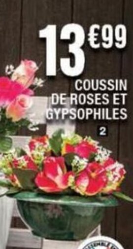 La Foir'Fouille COUSSIN DE ROSES ET GYPSOPHILES offre