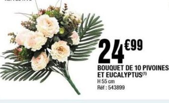 La Foir'Fouille BOUQUET DE 10 PIVOINES ET EUCALYPTUS(¹) offre
