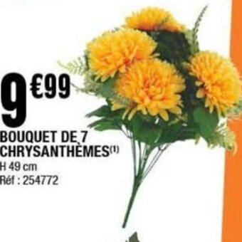 La Foir'Fouille BOUQUET DE 7 CHRYSANTHÈMES(¹) offre
