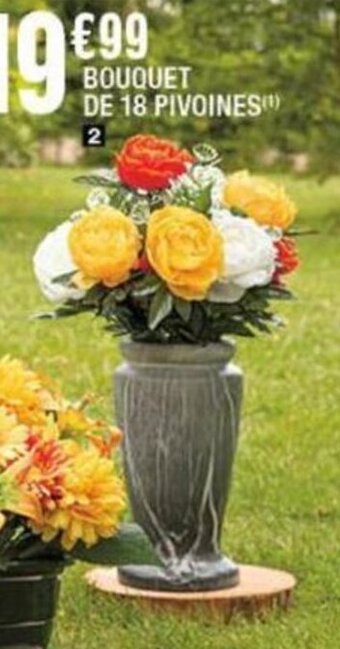 La Foir'Fouille BOUQUET DE 18 PIVOINES offre