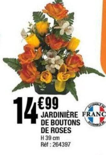 JARDINIÈRE FRANCE DE BOUTONS DE ROSES