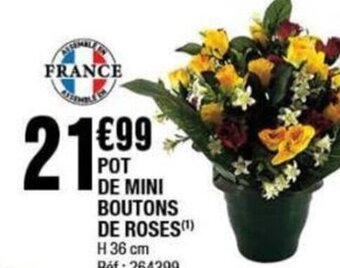 La Foir'Fouille POT DE MINI BOUTONS DE ROSES(¹) offre