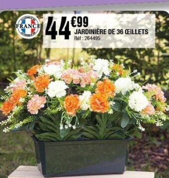 JARDINIĂRE DE 36 CILLETS