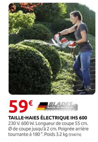Rural Master TAILLE-HAIES ÉLECTRIQUE IHS 600 offre