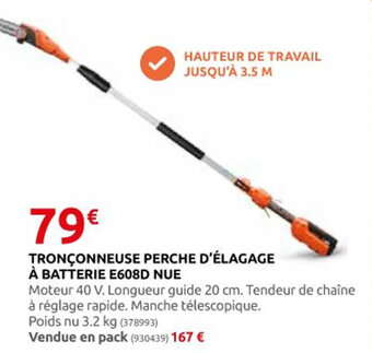 Rural Master TRONÇONNEUSE PERCHE D'ÉLAGAGE À BATTERIE E608D NUE offre