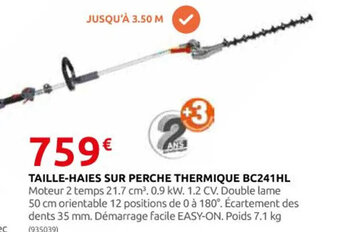 Rural Master TAILLE-HAIES SUR PERCHE THERMIQUE BC241HL offre