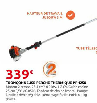Rural Master TRONÇONNEUSE PERCHE THERMIQUE PPH250 offre