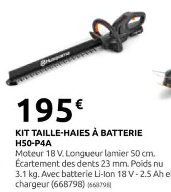 Rural Master KIT SCIE DE JARDIN À BATTERIE P5-P4A offre