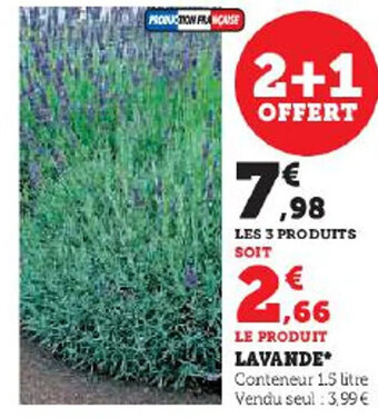 Hyper U LAVANDE offre