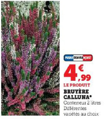 Hyper U BRUYÈRE CALLUNA offre