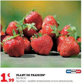 Hyper U PLANT DE FRAISIER offre