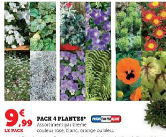 Hyper U PACK 4 PLANTES offre