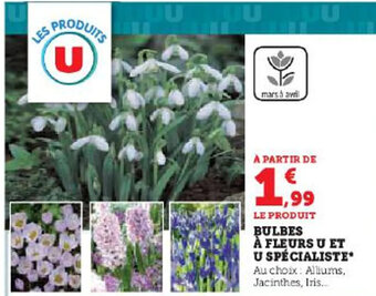 Hyper U BULBES À FLEURS U ET U SPÉCIALISTE offre