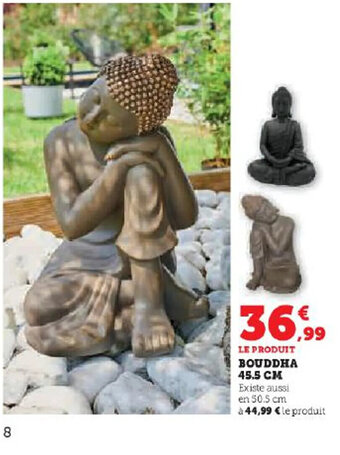 LE PRODUIT BOUDDHA