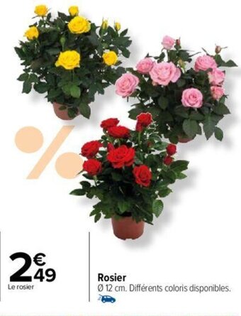 Carrefour Rosier offre