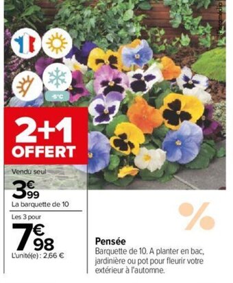 Carrefour Pensée offre