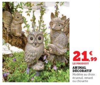 Super U ANIMAL DÉCORATIF offre