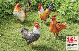 Super U POULE OU COQ EN MÉTAL offre