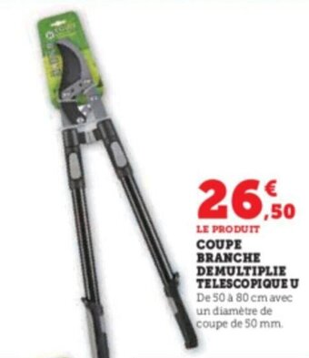 Super U COUPE BRANCHE DEMULTIPLIE TELESCOPIQUE U offre