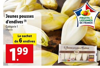 Lidl Jeunes pousses d'endives offre