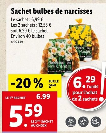 Lidl Sachet bulbes de narcisses offre