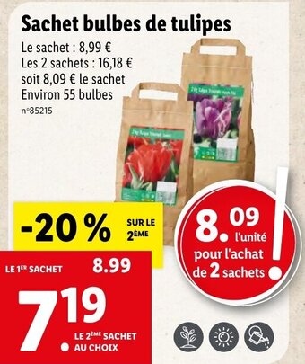 Lidl Sachet bulbes de tulipes offre