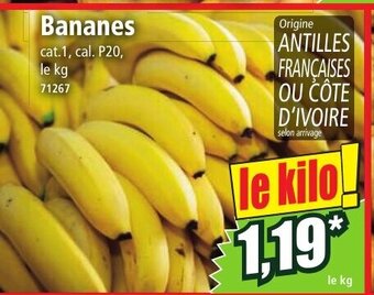 Norma Bananes offre