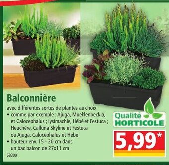 Balconnière