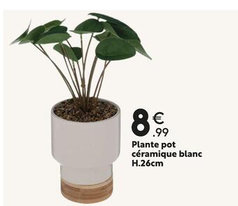 Maxi Bazar Plante pot céramique blanc h.26cm offre