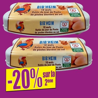Norma 10 œufs offre