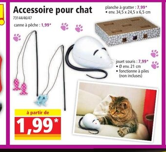Norma Accessoire pour chat offre