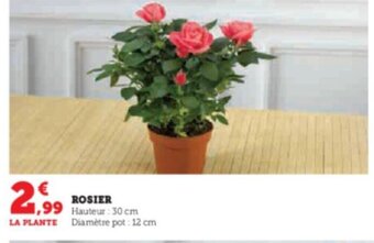 Super U ROSIER offre