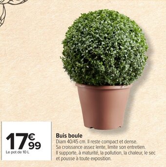 Carrefour Market Buis boule offre