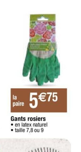 Migros Gants rosiers offre